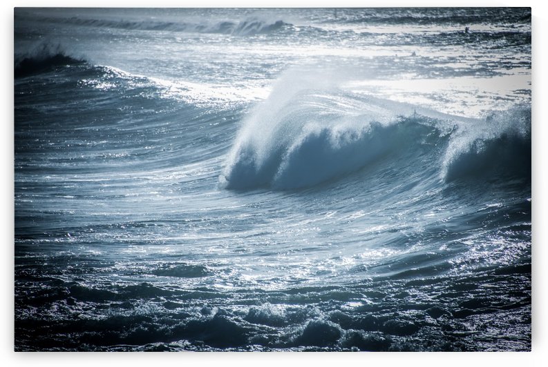 Wave by Andrea Spallanzani