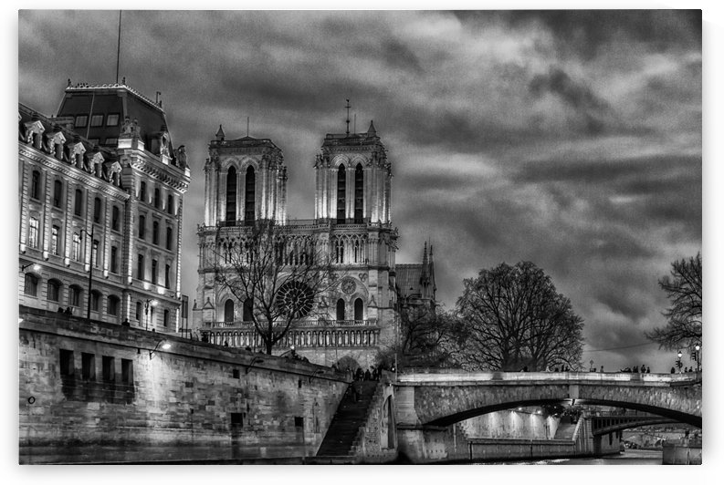 Notre Dame by Andrea Spallanzani