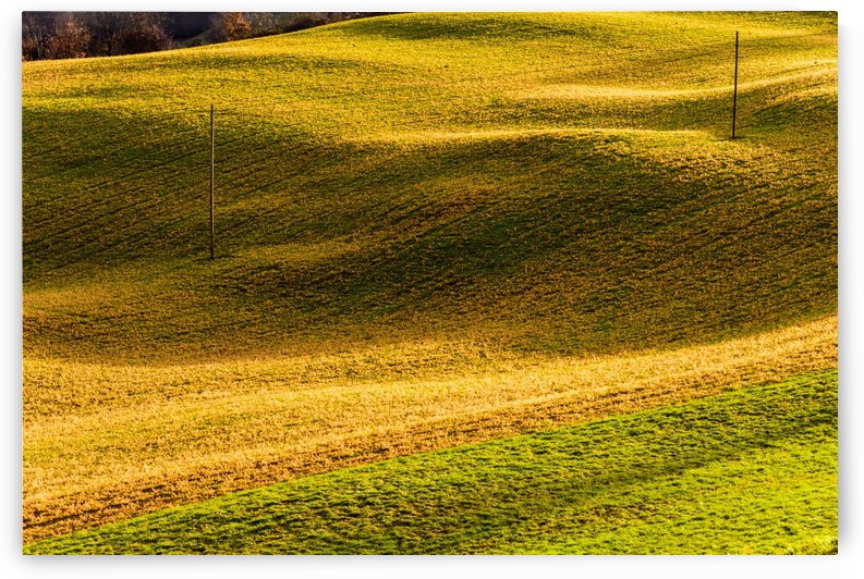 Toano 2 by Andrea Spallanzani