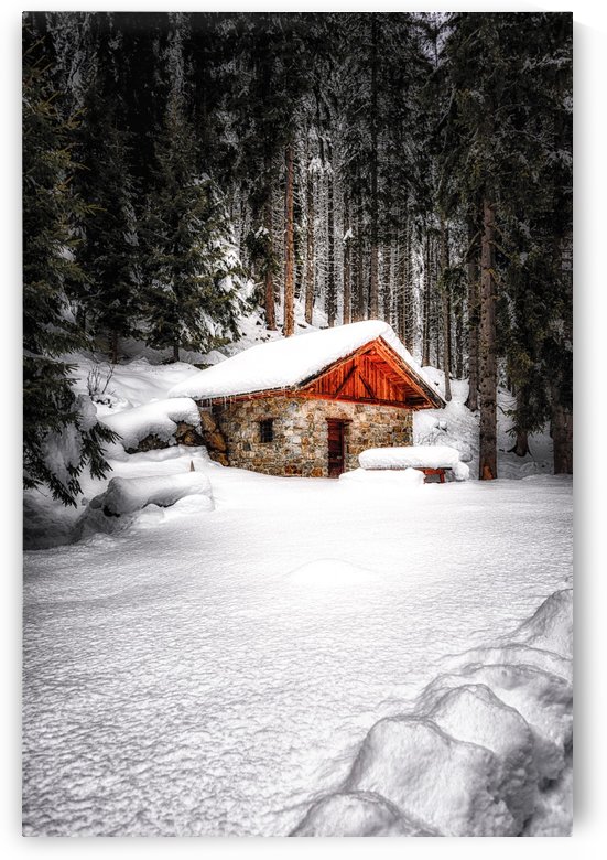 The Alps by Andrea Spallanzani