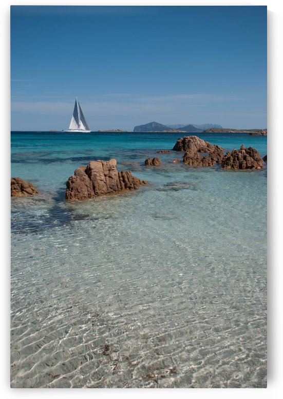 Mediterranean by Andrea Spallanzani