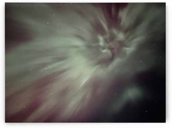 Aurora Flower 1 by Lisa Drew