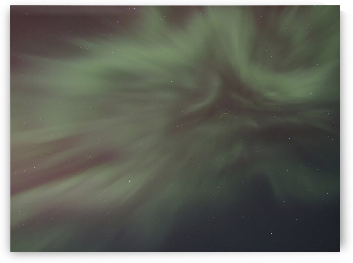 Aurora Flower 2  by Lisa Drew