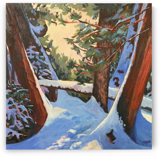 Forest Portal by Holly Friesen
