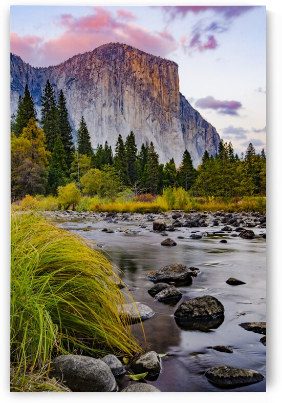  DSC1161 by Serv Goyal