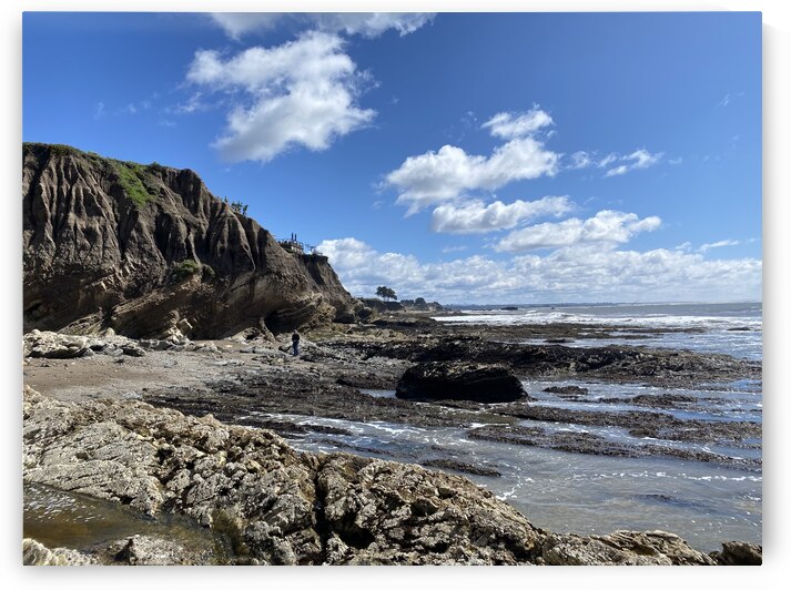 Pismo Beach California by Sheri Lynn