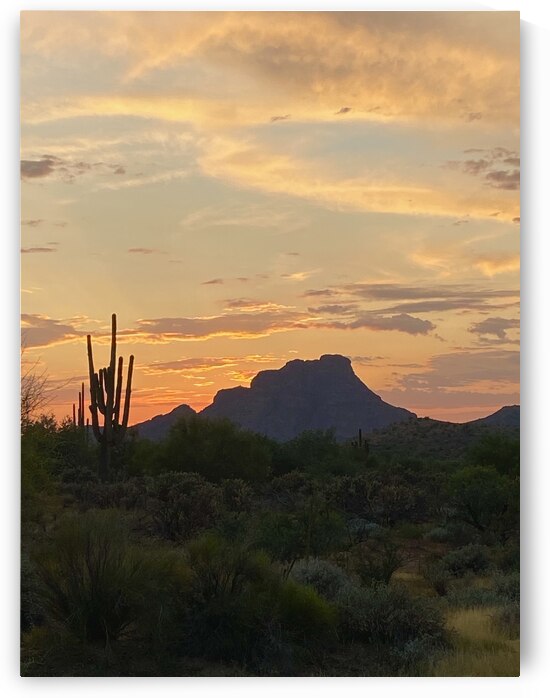 Arizona Sunset by Sheri Lynn