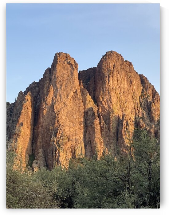 Phoenix Arizona by Sheri Lynn