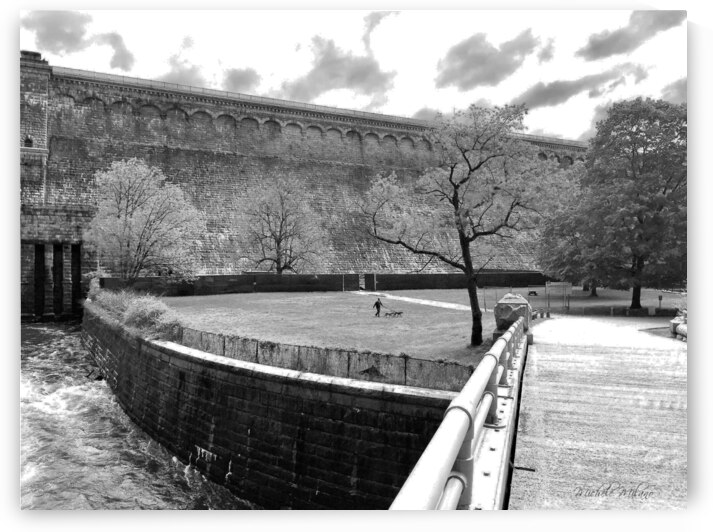 Solitary Dog Walker at Croton Dam Park by Michele Milano Arts