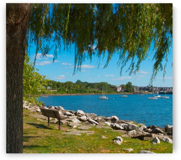 Croton Point Half Moon Bay View by Michele Milano Arts