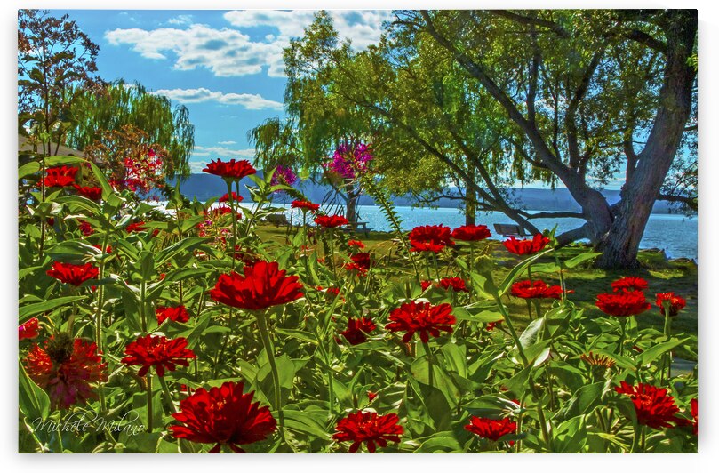 Croton on Hudsons Waterfront park Wildly Colorful Flower Garden by Michele Milano Arts