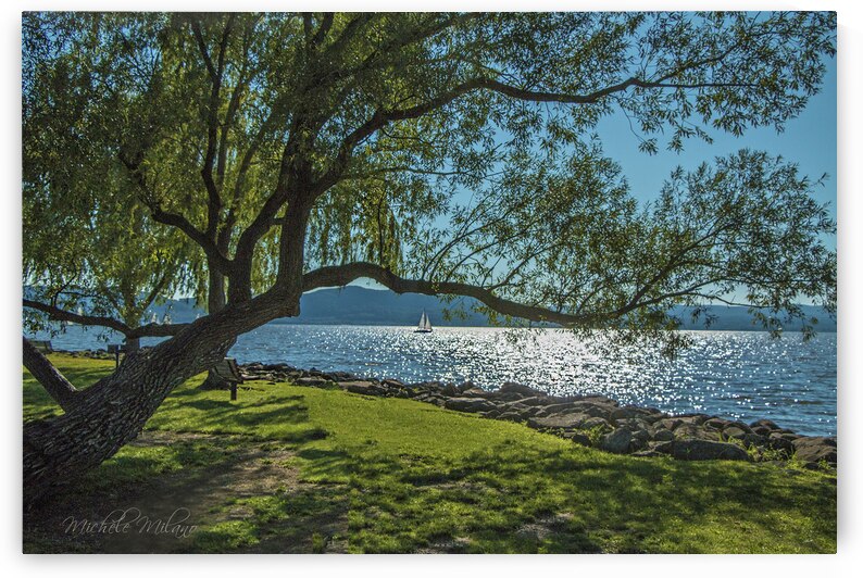 Dreamy Scene Senasqua Park Croton on Hudson  by Michele Milano Arts