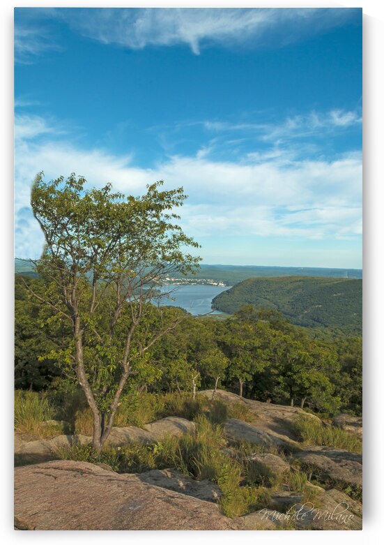 New York Mountain Top Hudson Valley View by Michele Milano Arts