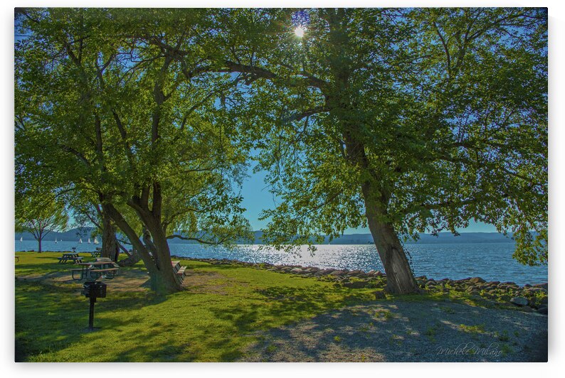 Croton on Hudsons SENASQUA PARK view of the Iconic Hudson River with a Fairy Door Tree by Michele Milano Arts