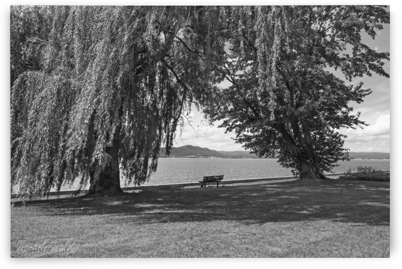 Lonely Bench at Croton Point Park in Black and White by Michele Milano Arts