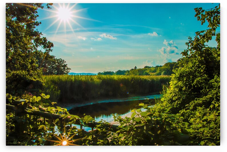 Swamps Double Sunburst by Michele Milano Arts