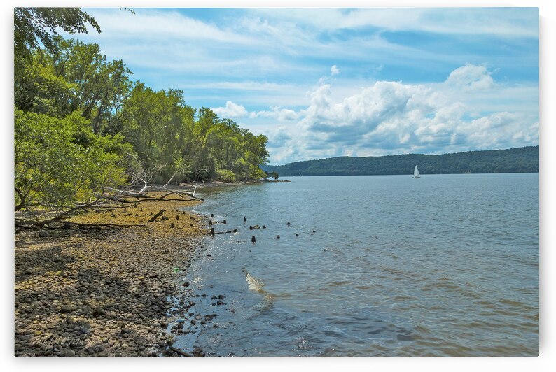 Lonely Sailbot along  the Hudson River Shore by Michele Milano Arts