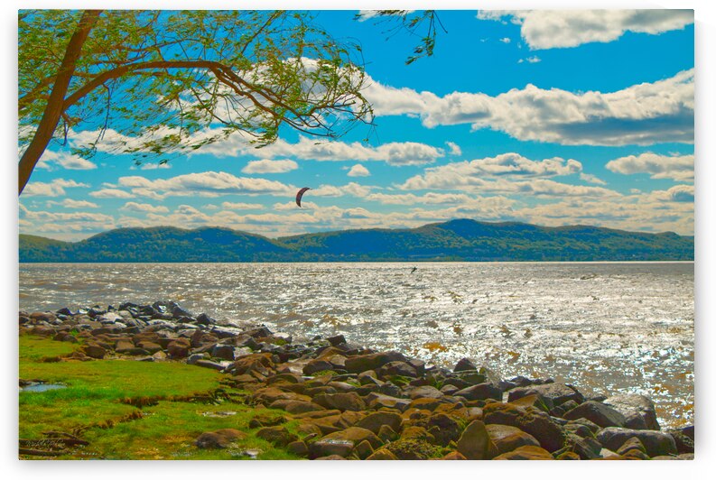 Windswept Hudson River Scene by Michele Milano Arts