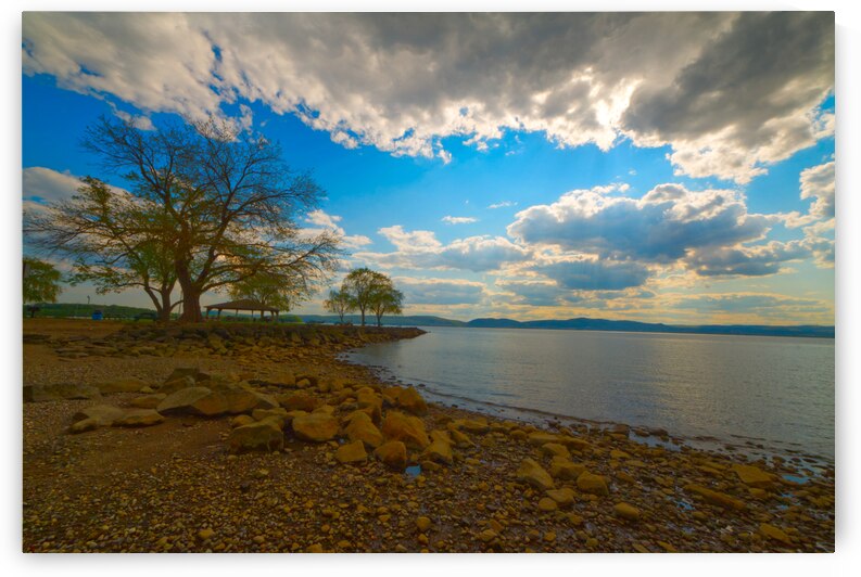 Rocky Shoreline at Croton Waterfront by Michele Milano Arts