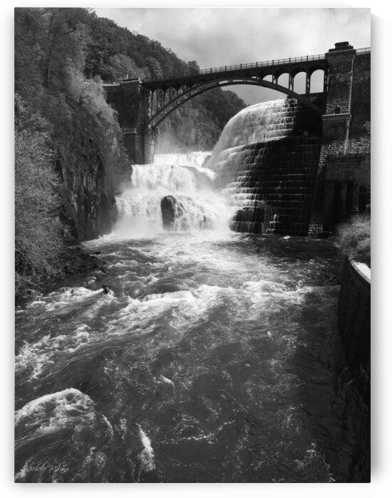 WILD FLOWING Waters at The Croton Dam by Michele Milano Arts