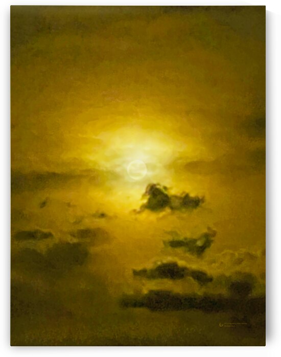 Moonshine by ArcheanArt