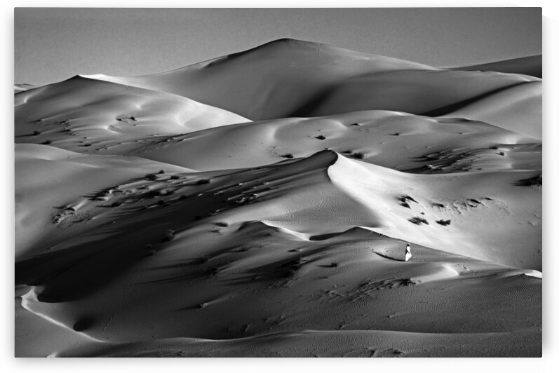 BW PRINT COLLECTION011 by Jeremy Horner Images