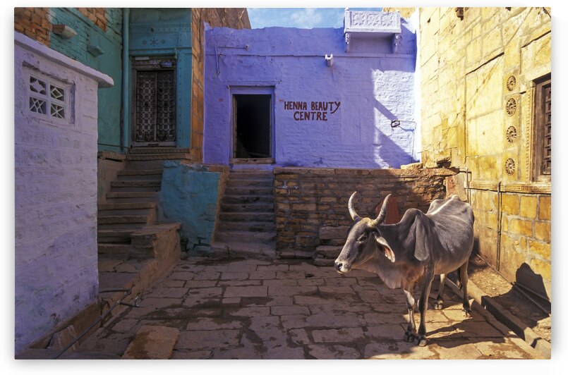 India Pigments127 by Jeremy Horner Images