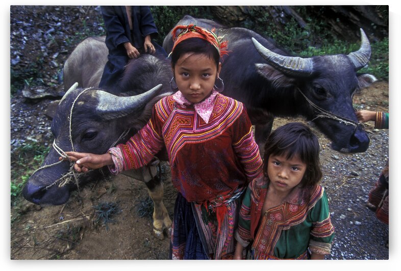 Vietnam Sapa015 by Jeremy Horner Images