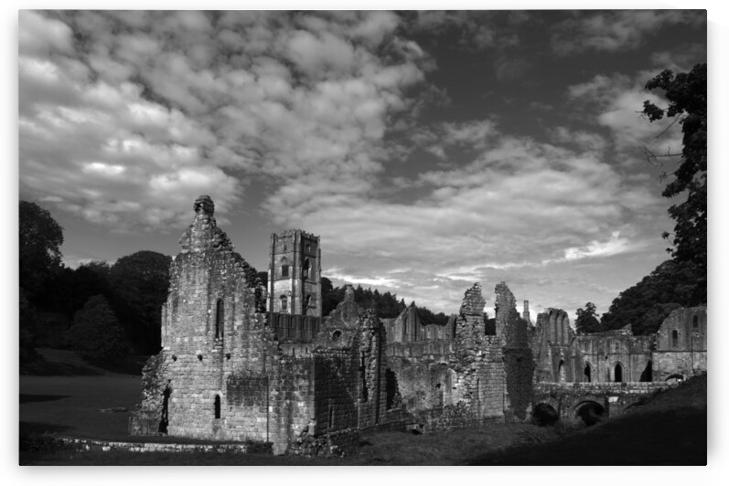 BW PRINT COLLECTION053 by Jeremy Horner Images