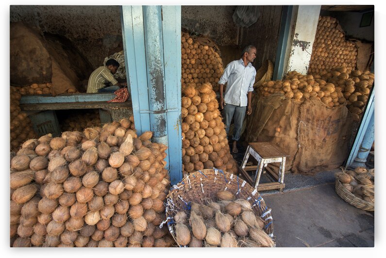 India Pigments100 by Jeremy Horner Images