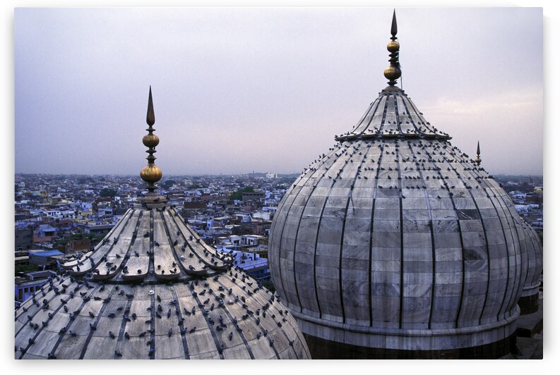 India Pigments043 by Jeremy Horner Images