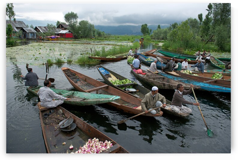 India Pigments161 by Jeremy Horner Images