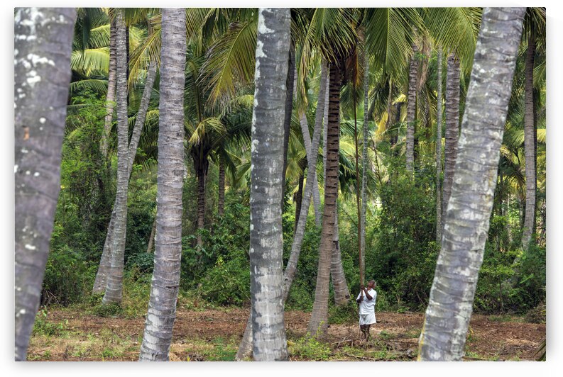 India Pigments059 by Jeremy Horner Images