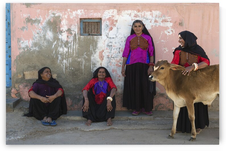 India Pigments143 by Jeremy Horner Images