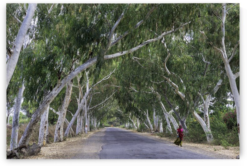India Pigments133 by Jeremy Horner Images