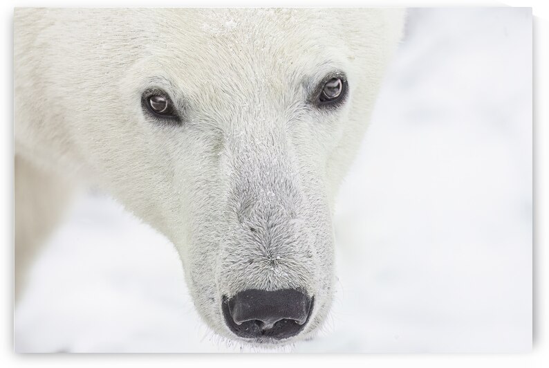 Hello by Johnny Hayward