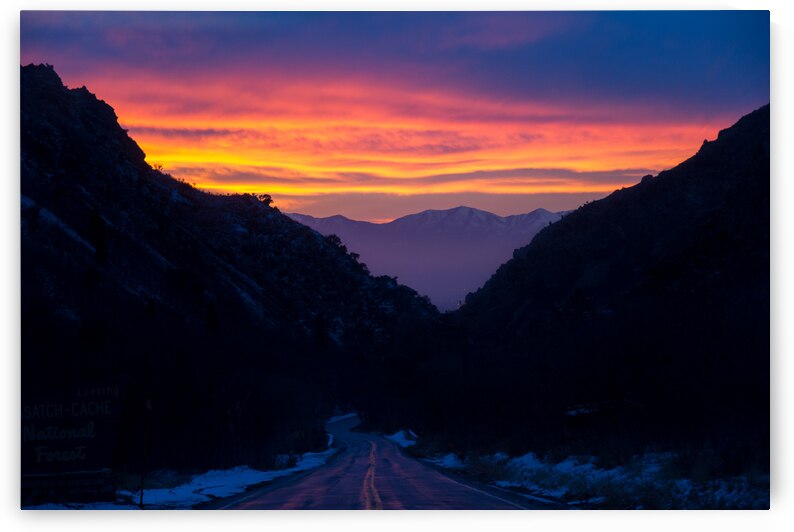 IMG 9839 by Taufiq Salahuddin