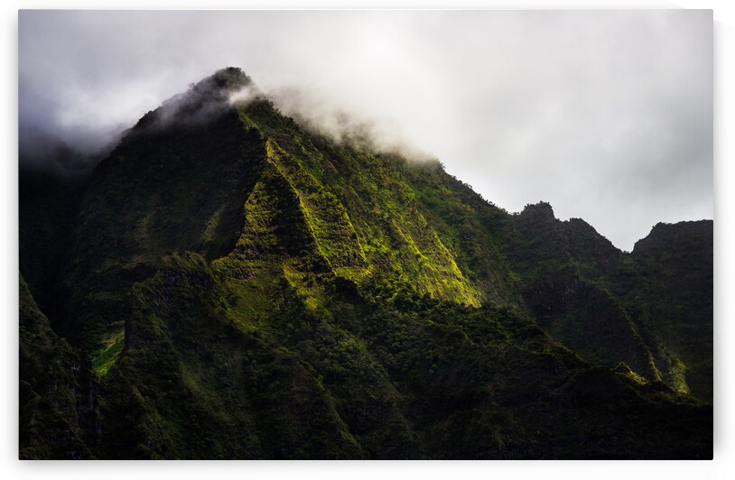 IMG 7382 by Taufiq Salahuddin