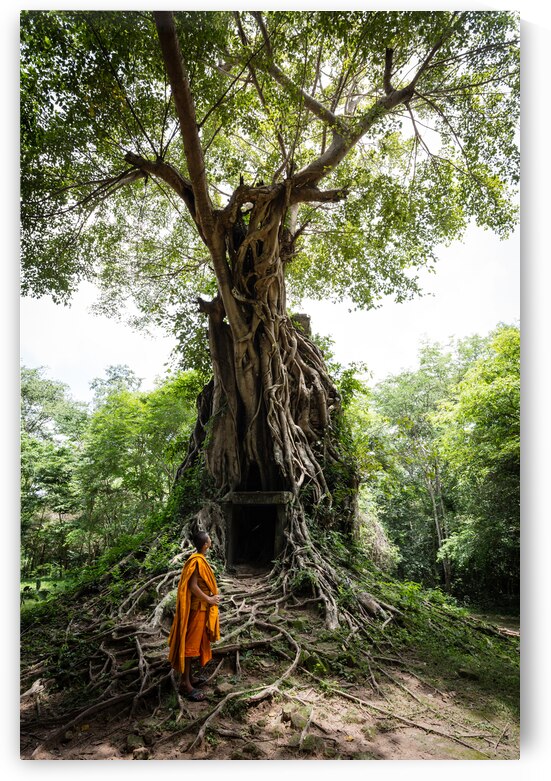 Contemplation by Regis Binard