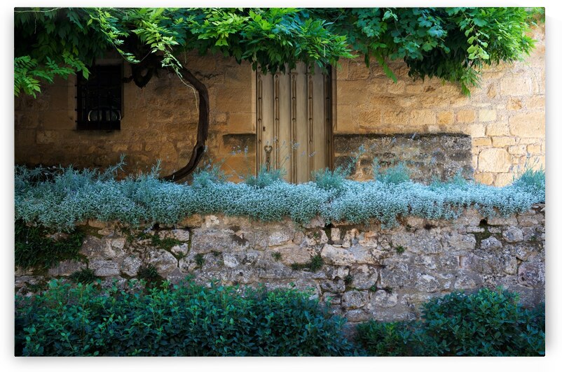 ART of NATURE046 by Jeremy Horner Images