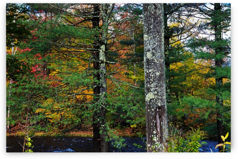 ART of NATURE030 by Jeremy Horner Images