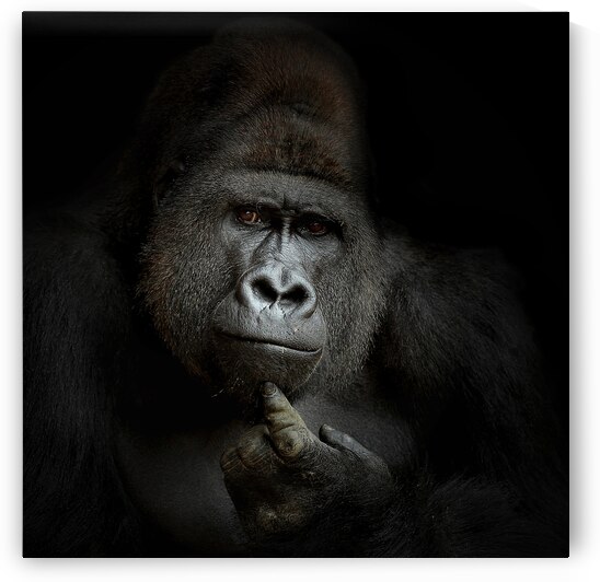 ego cogito, ergo sum by 1x