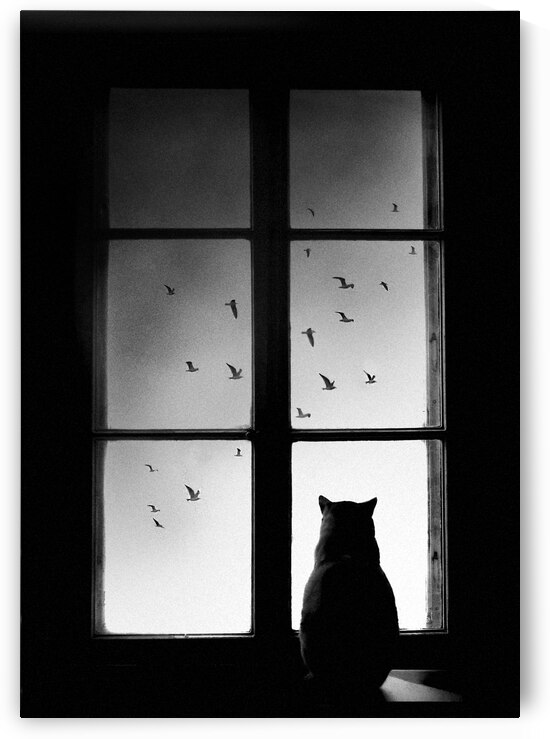 winter is coming by 1x