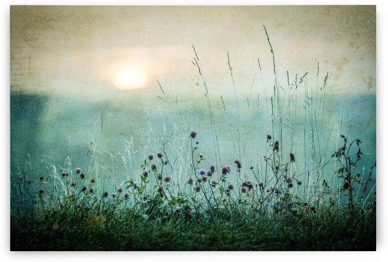 Autumn sunrise by 1x