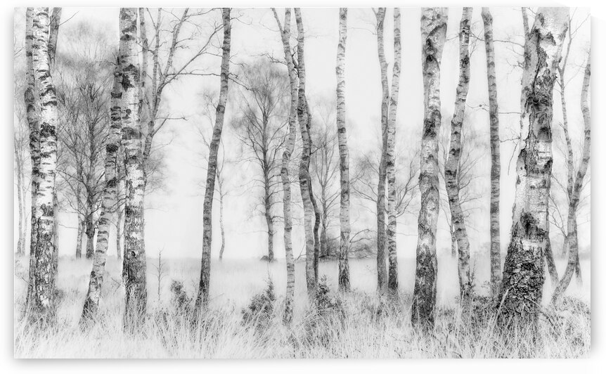 Black and white by 1x