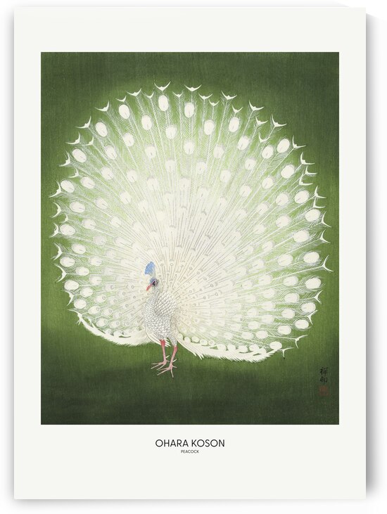 Peacock - Wide by 1x