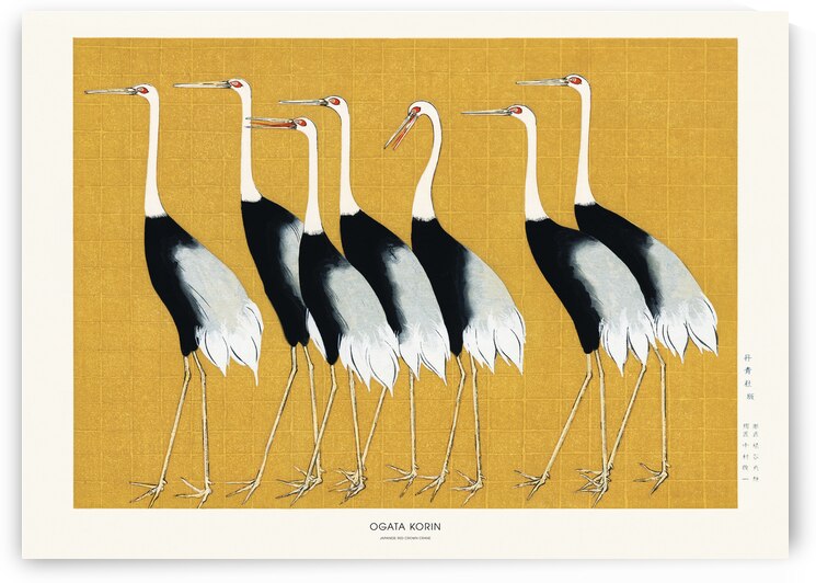 Japanese Red Crown Crane by 1x