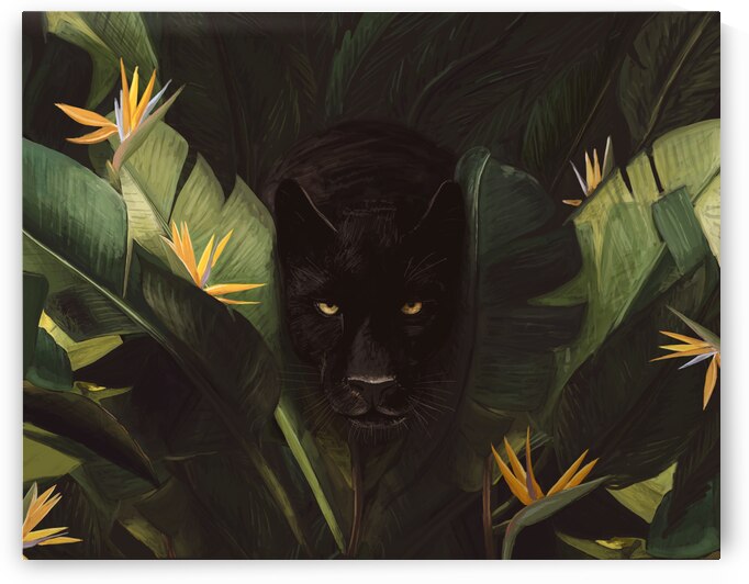 Hello Panther by 1x
