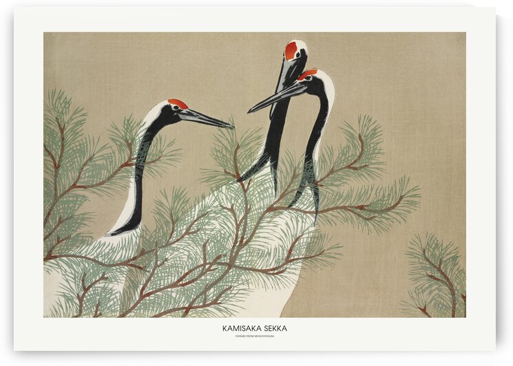 Cranes From Momoyogusa by 1x