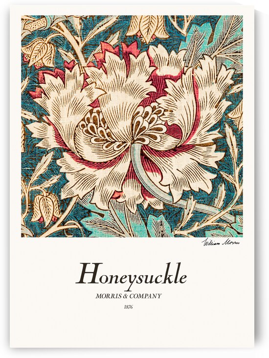 Honeysuckle by 1x